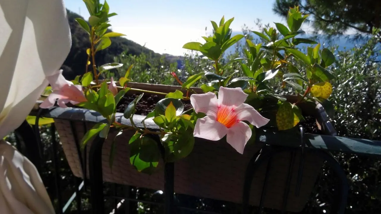 ** Bed & Breakfast La Casa Dei Limoni Bed and Breakfast Genua Italië